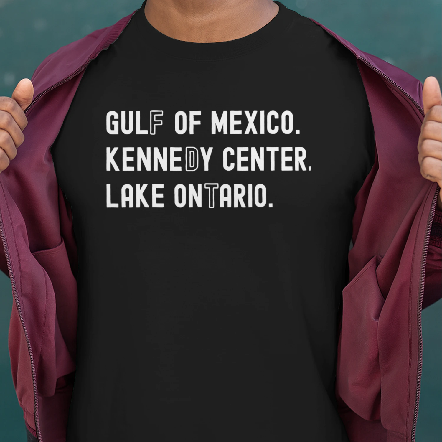 Gulf of Mexico Kennedy Center Lake Ontario Vintage Retro Unisex T-shirt