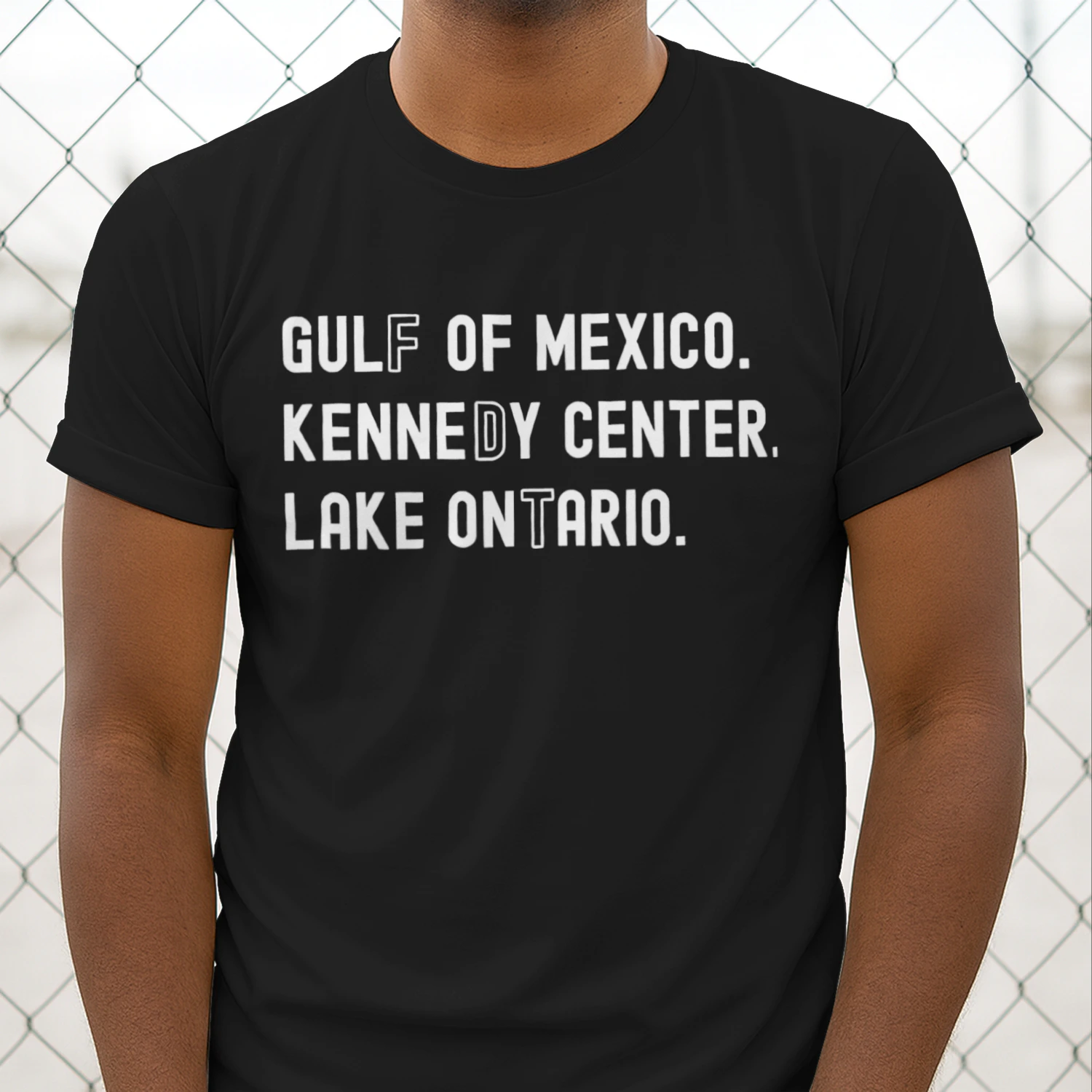 Gulf of Mexico Kennedy Center Lake Ontario Vintage Retro Unisex T-shirt