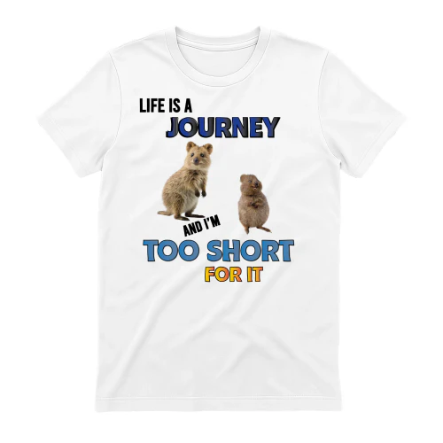 life is a journey and i'm too short-01
