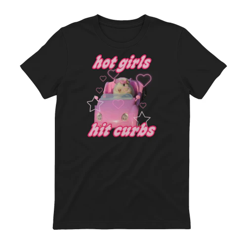 hot girls hit curbs-01-01