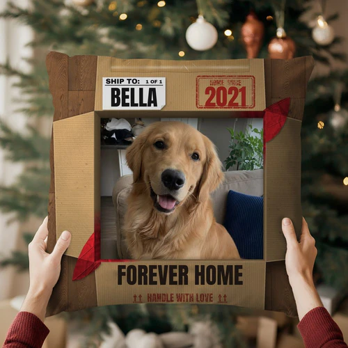 Forever Home Box Photo Pillow