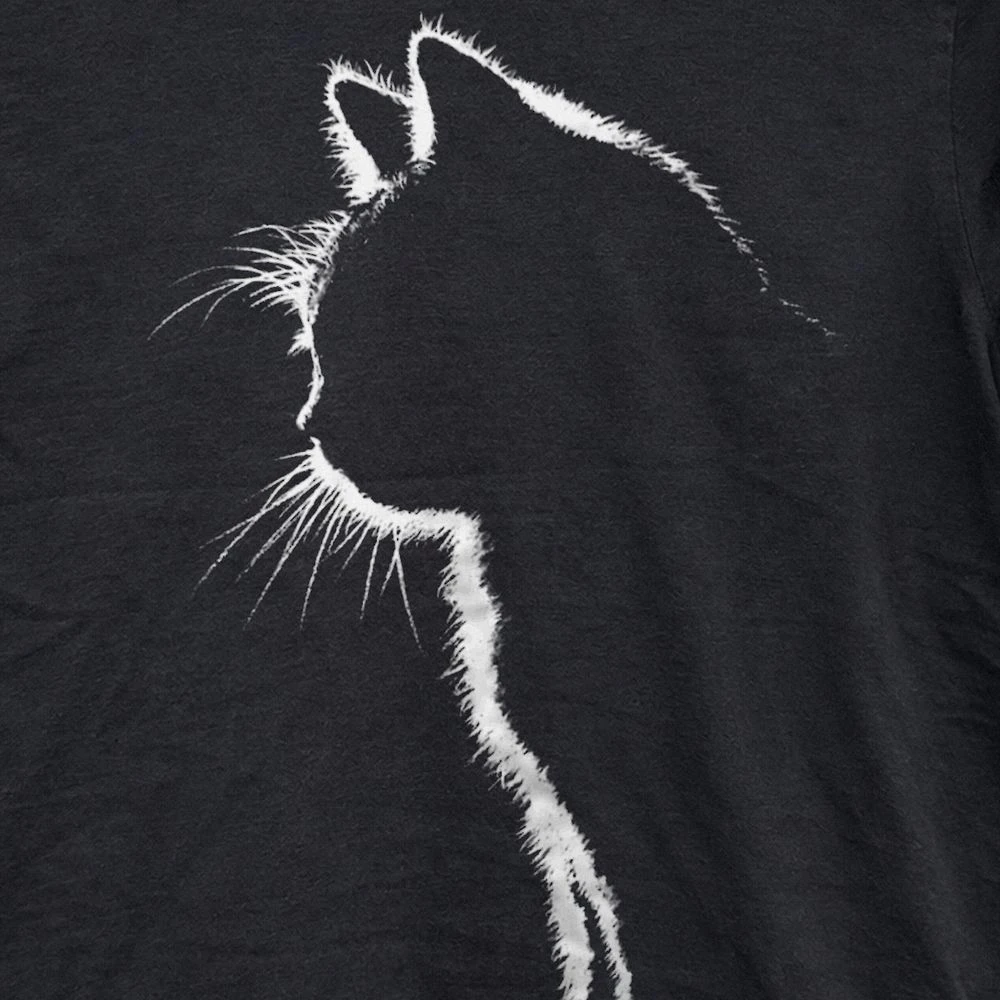 Cat Shadow