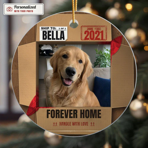 Forever Home Box Photo Ornament