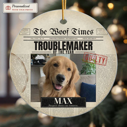 Pet Times Photo Ornament