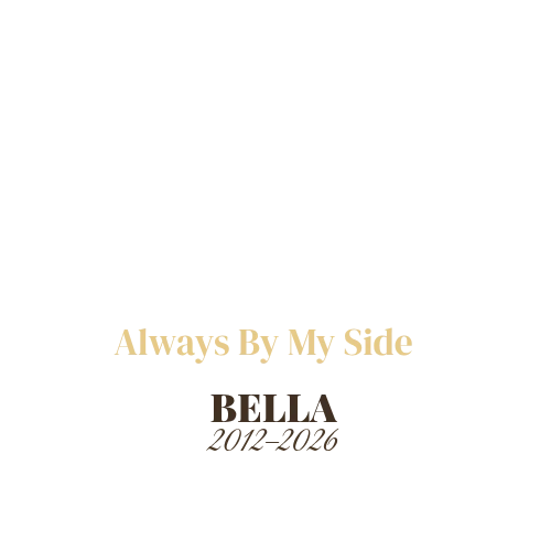Product personalized Image