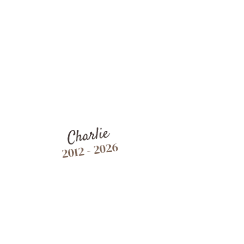 Product personalized Image
