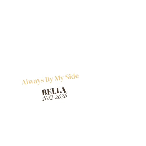 Product personalized Image