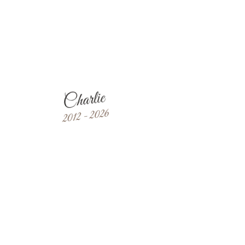 Product personalized Image