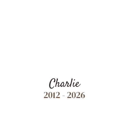 Product personalized Image