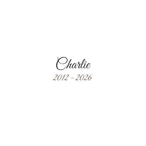 Product personalized Image