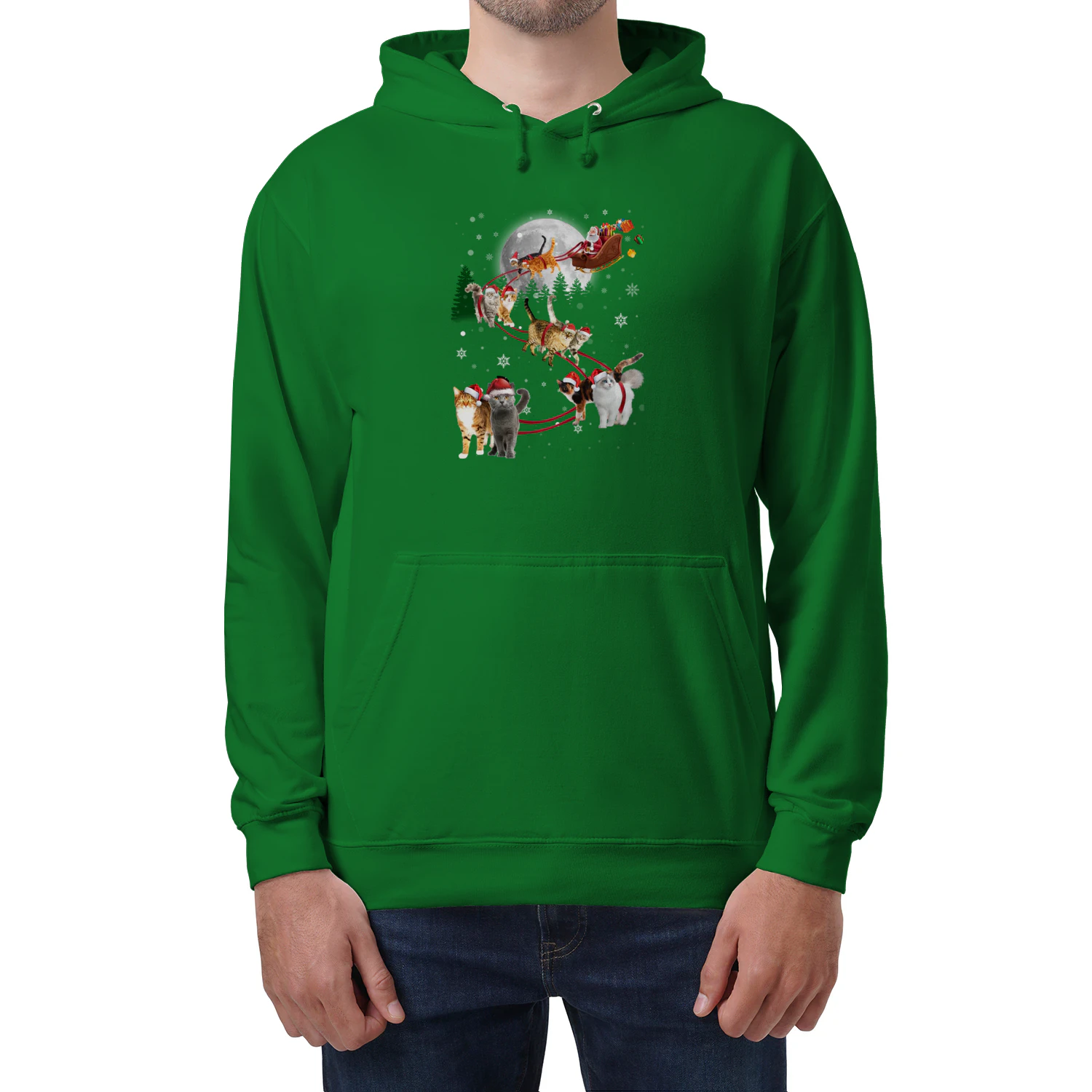 Cat Santa Cute