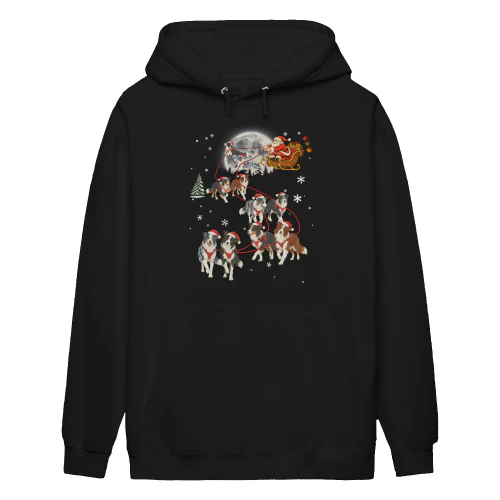 Border Collie Santa Sleigh