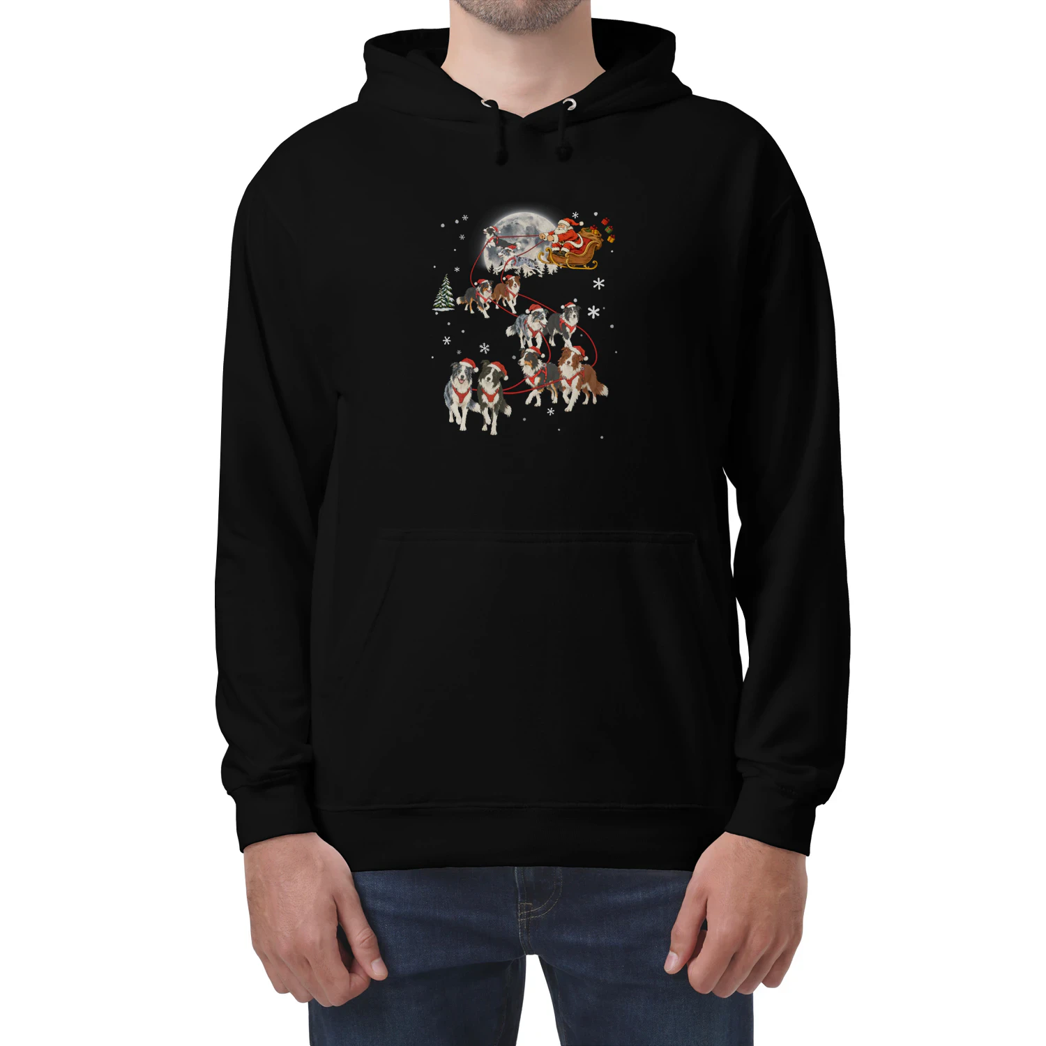 Border Collie Santa Sleigh