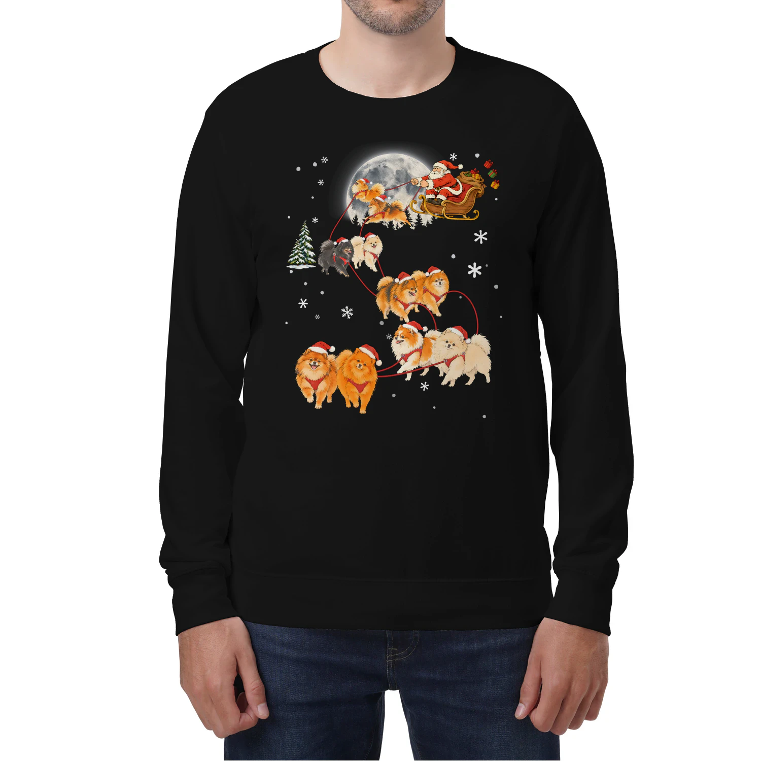 Pomeranian Santa Sleigh