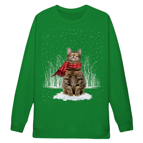 Cat Snow Field