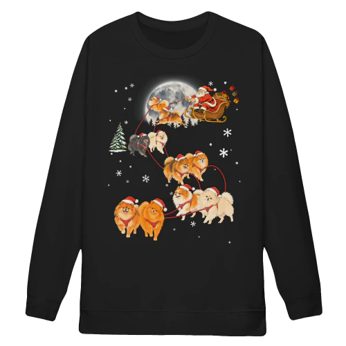 Pomeranian Santa Sleigh