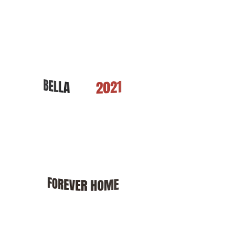 Product personalized Image
