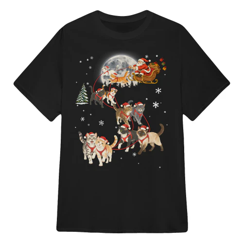 Cat Santa Sleigh