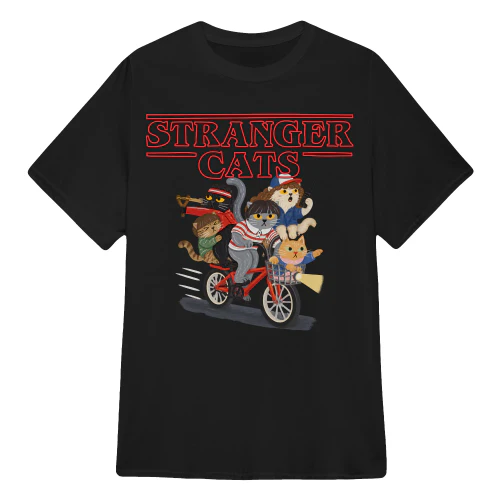 Cat Stranger Cats Night Ride