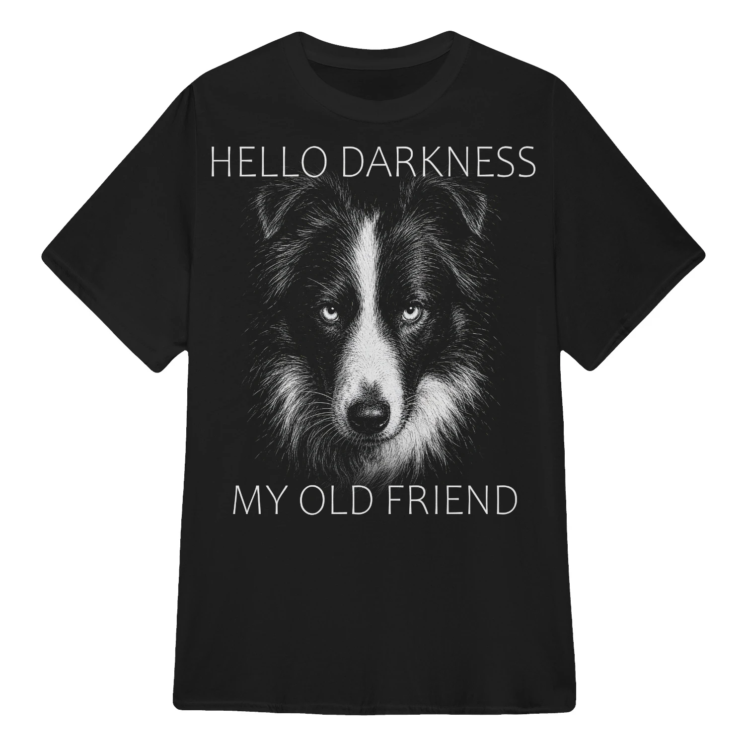 Border Collie Darkness