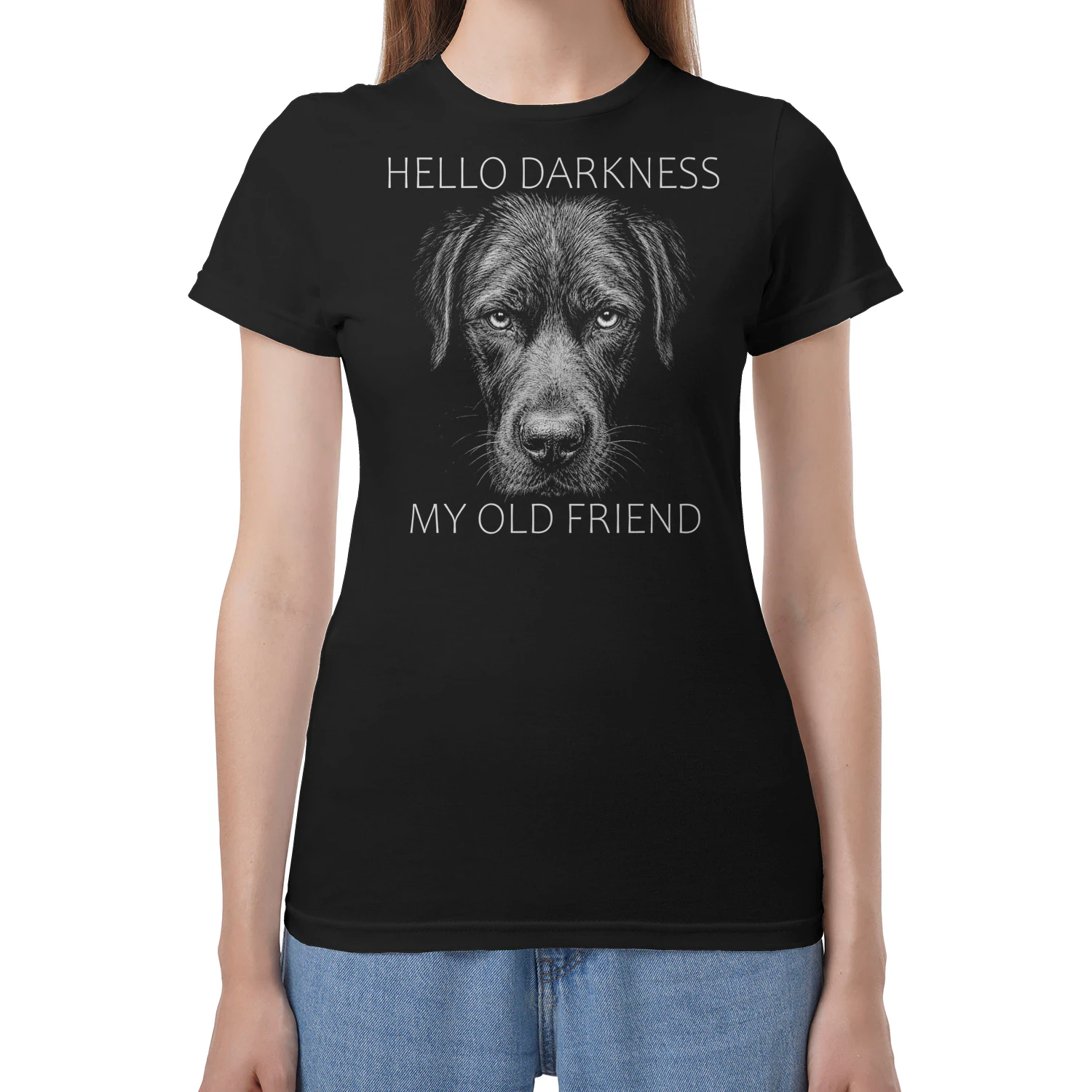 Labrador Darkness