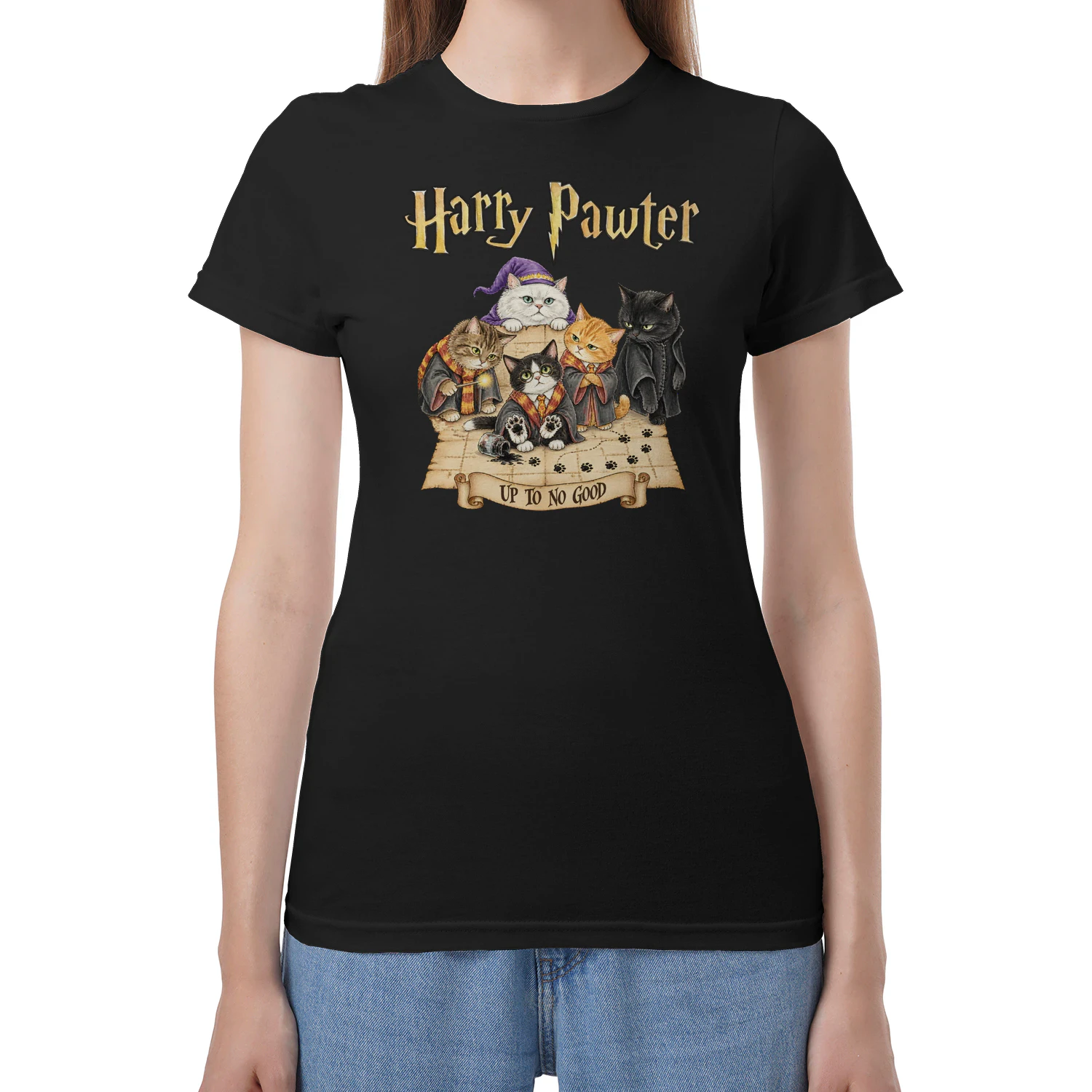 Cat Harry Pawter No Good