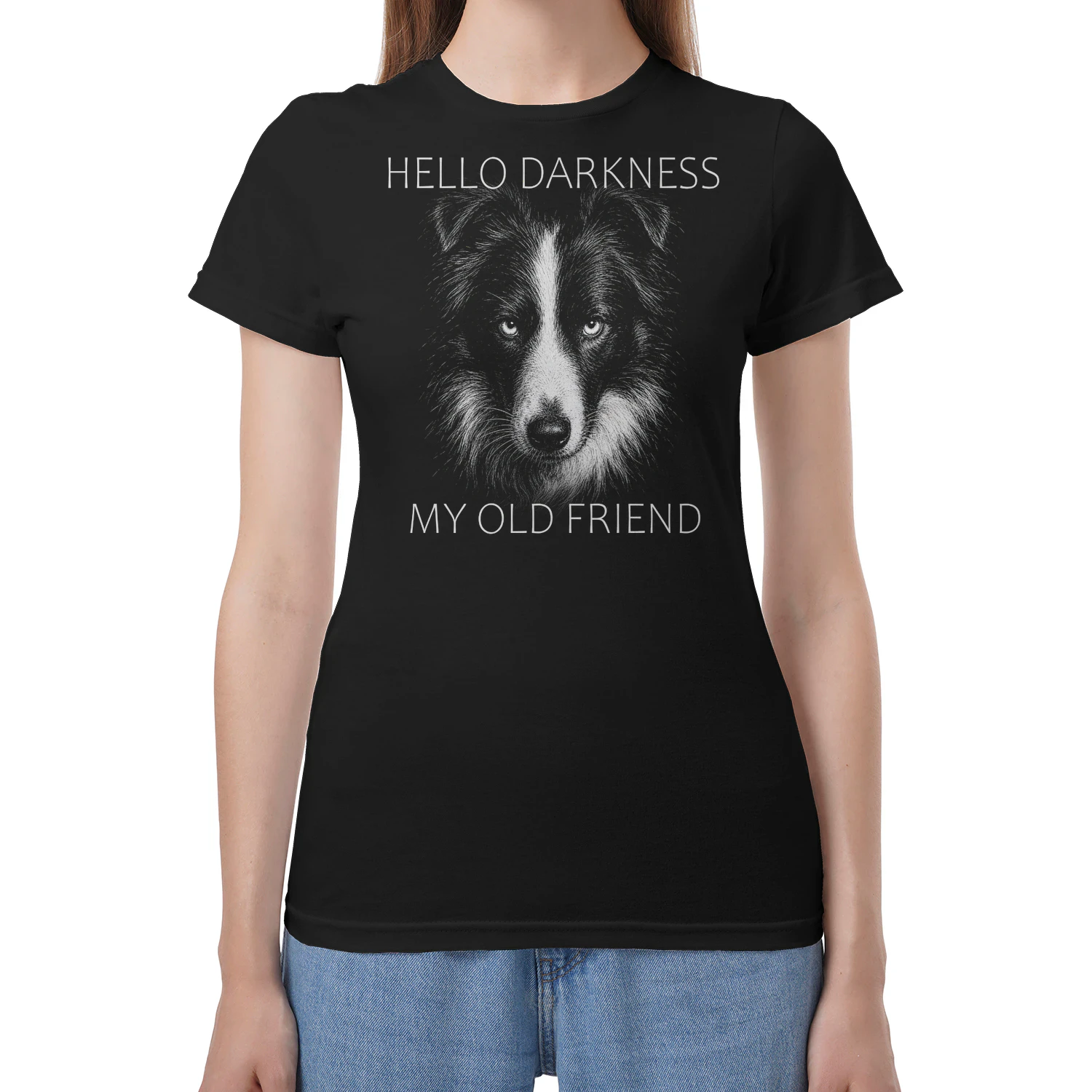 Border Collie Darkness