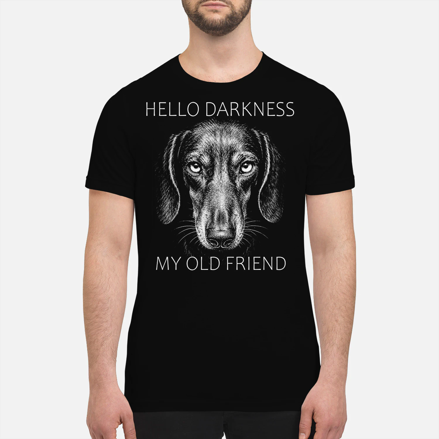 Dachshund Darkness