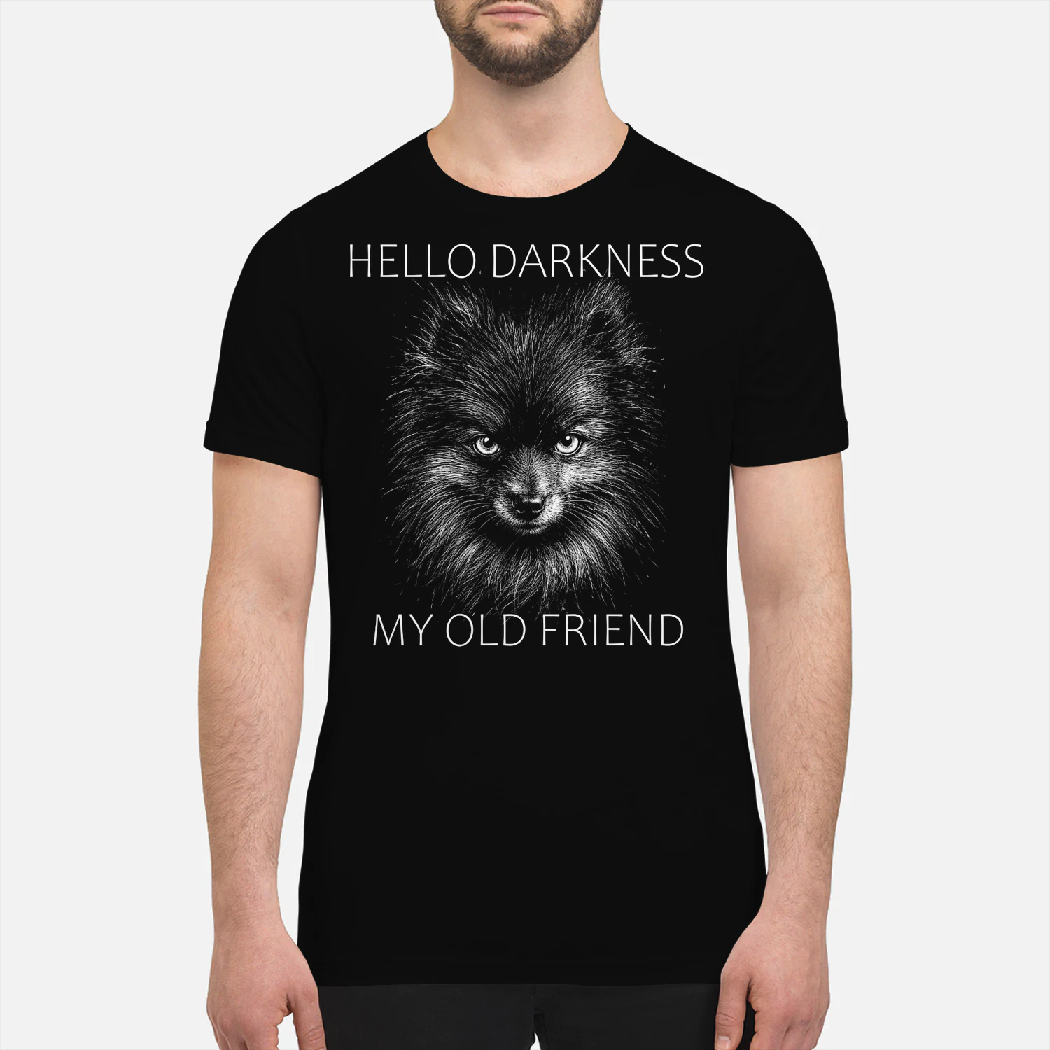 Pomeranian Darkness