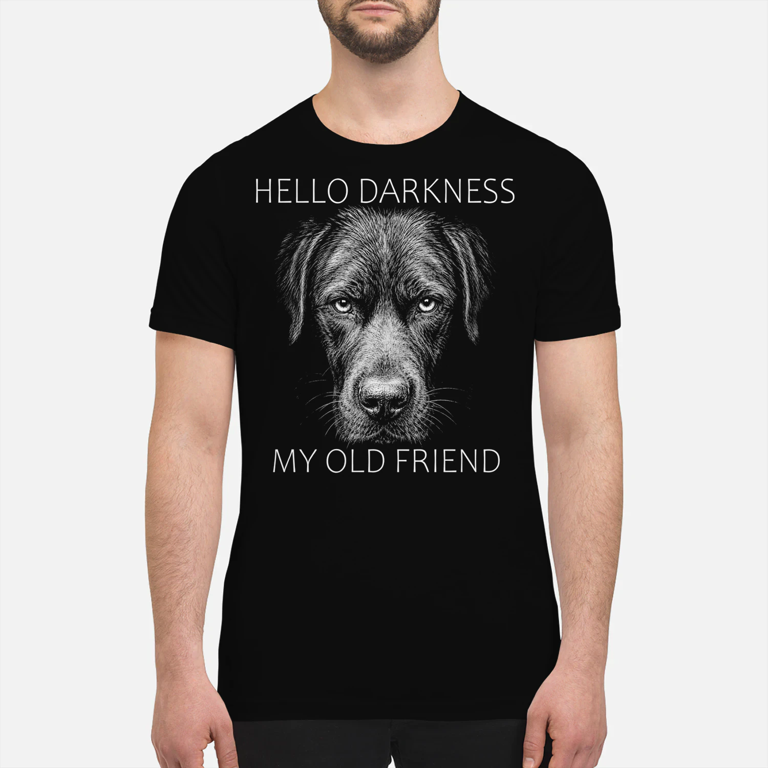 Labrador Darkness