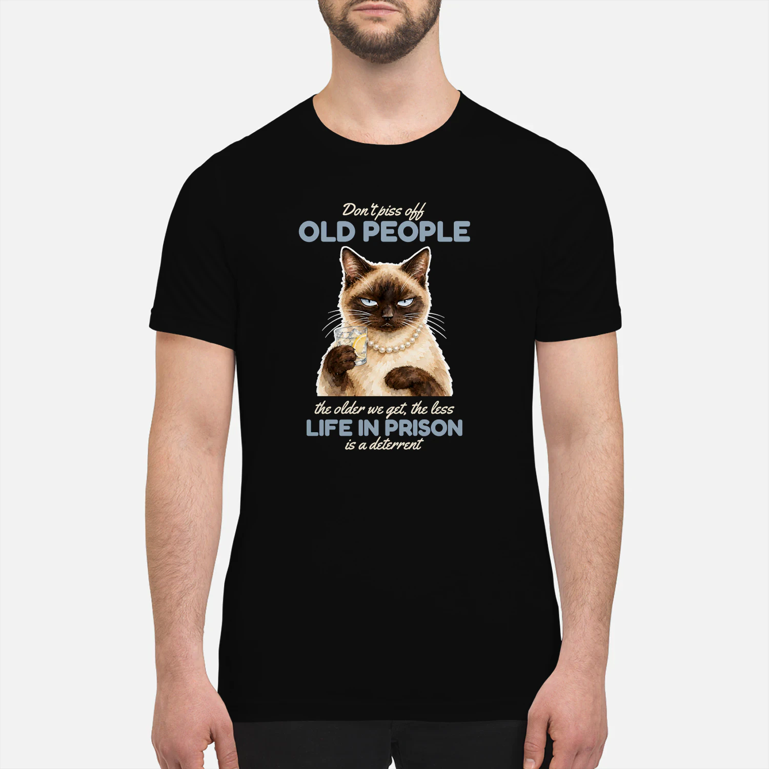 Cat Old People Siamese