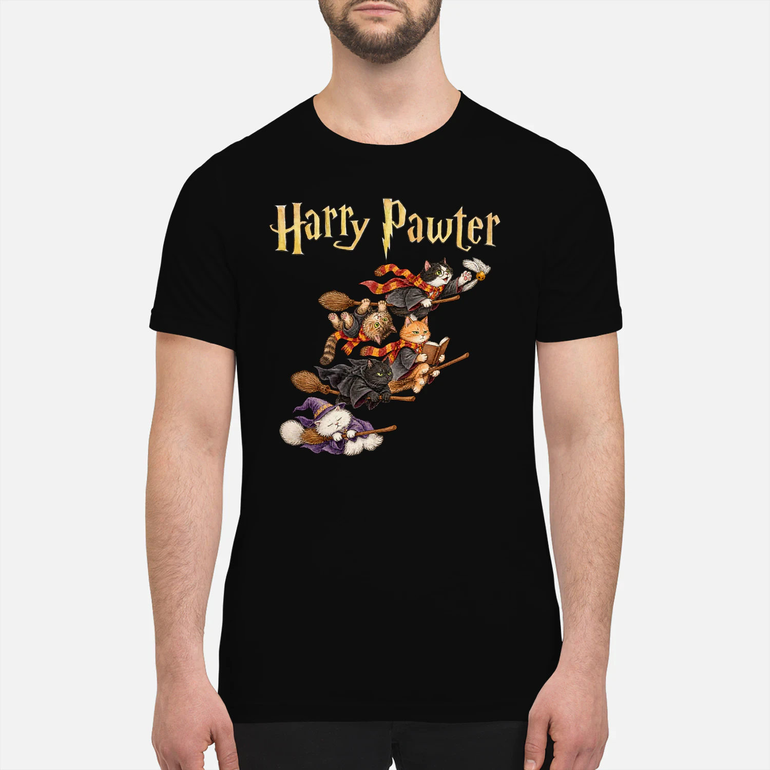 Cat Harry Pawter Broom Race