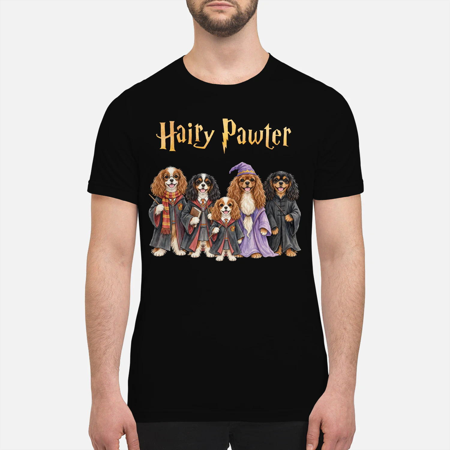 Cavalier King Charles Spaniel Hairy Pawter
