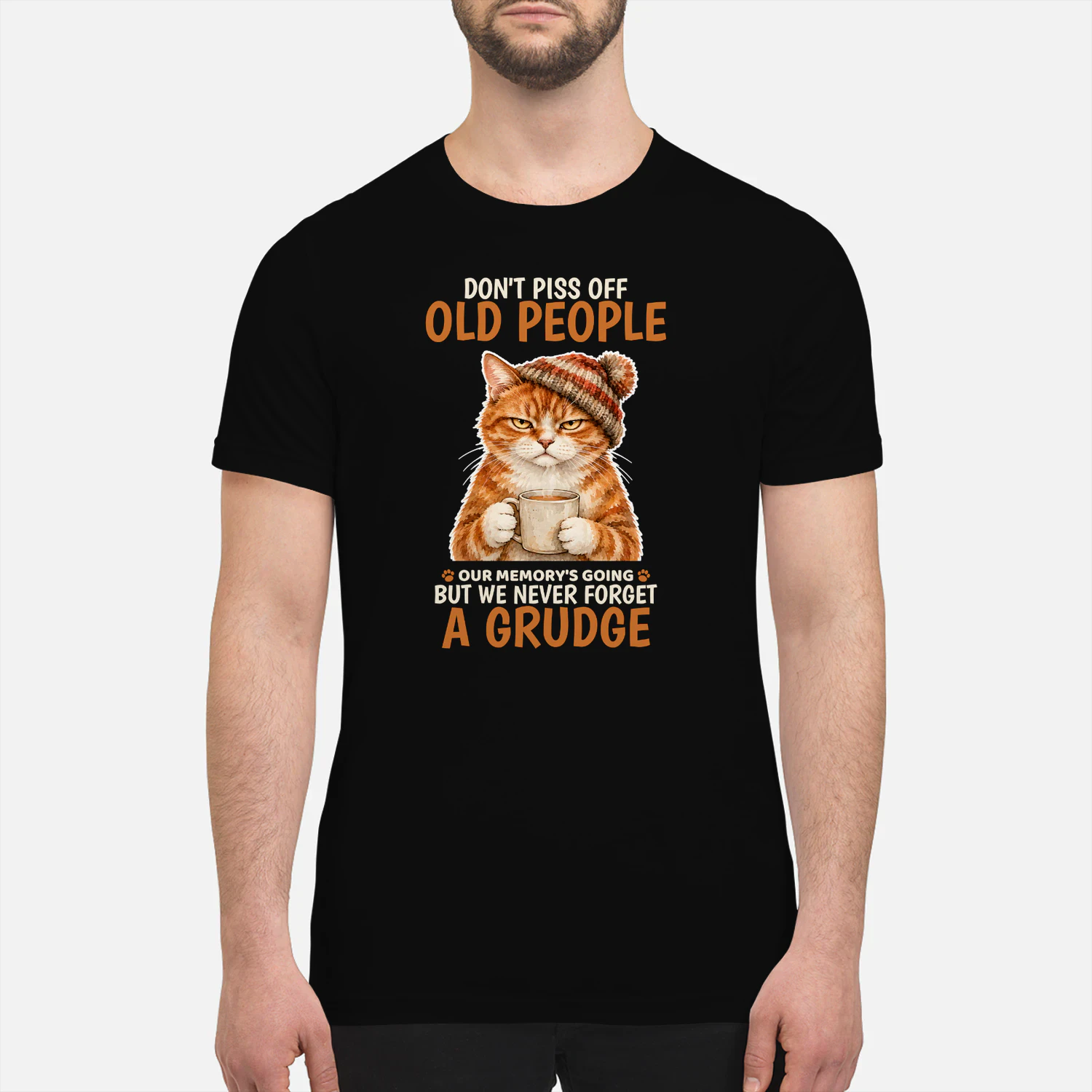Cat Old People Ginger