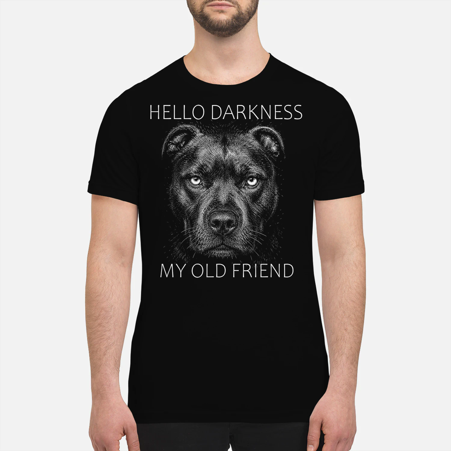 Staffordshire Bull Terrier Darkness