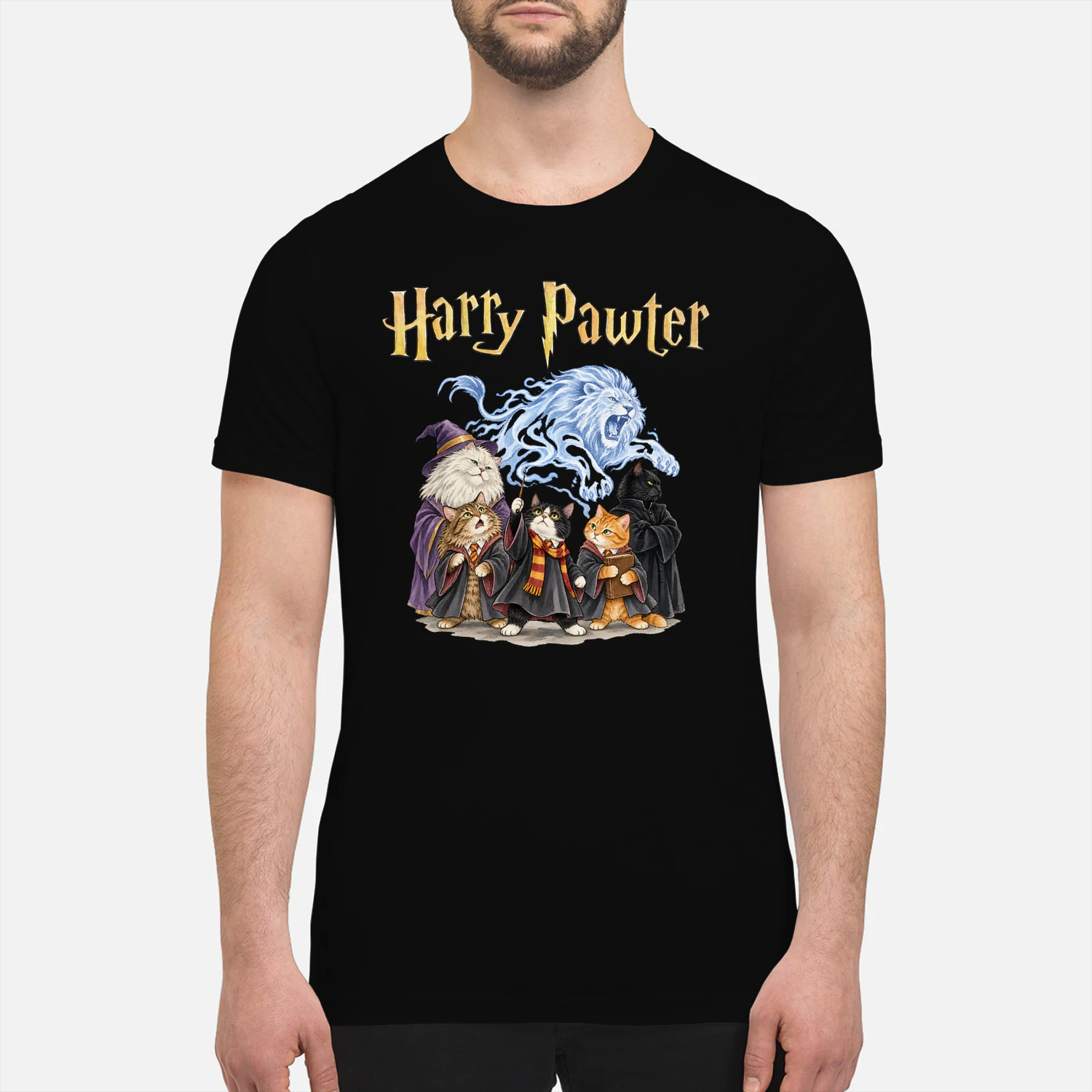 Cat Harry Pawter Lion Spell