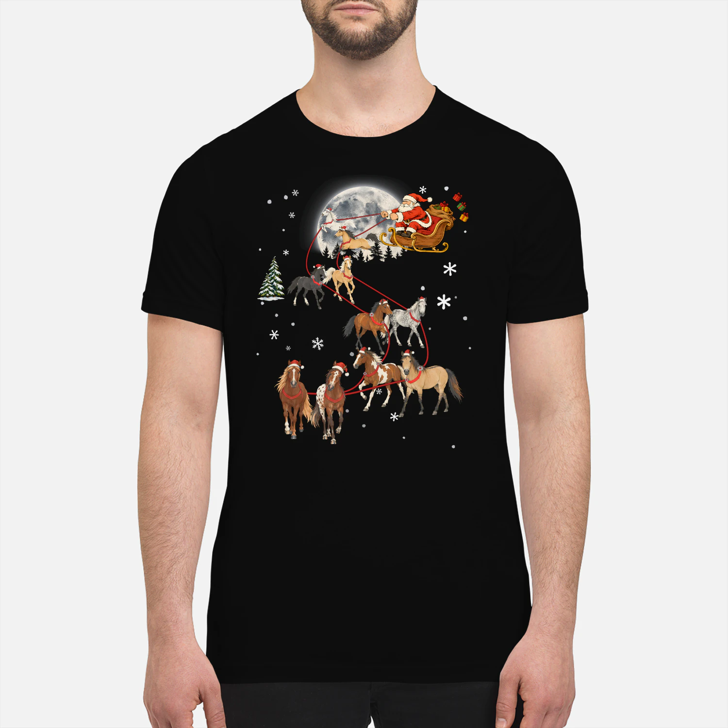 Horse Santa Sleigh