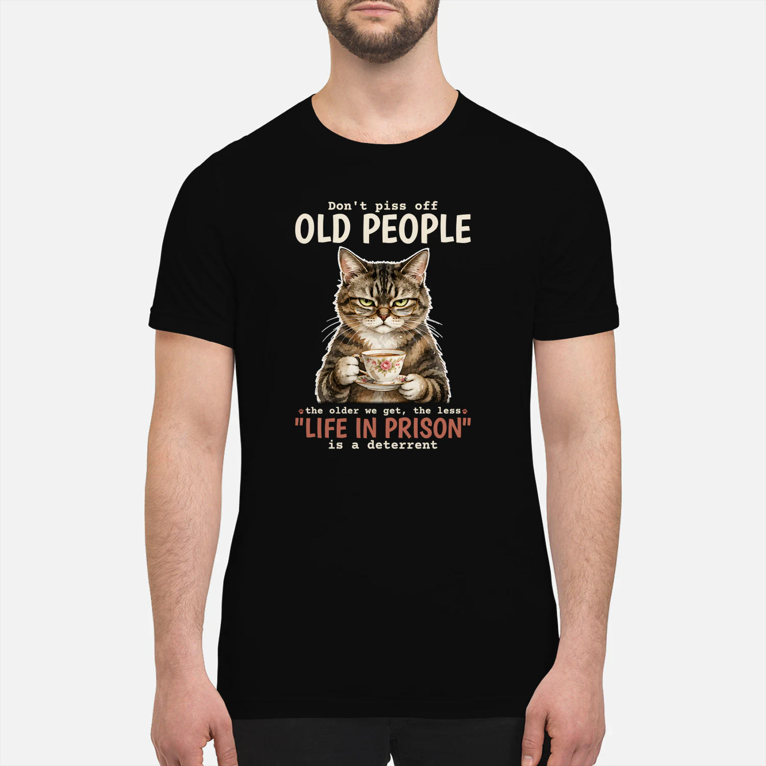 Cat Old People Tabby