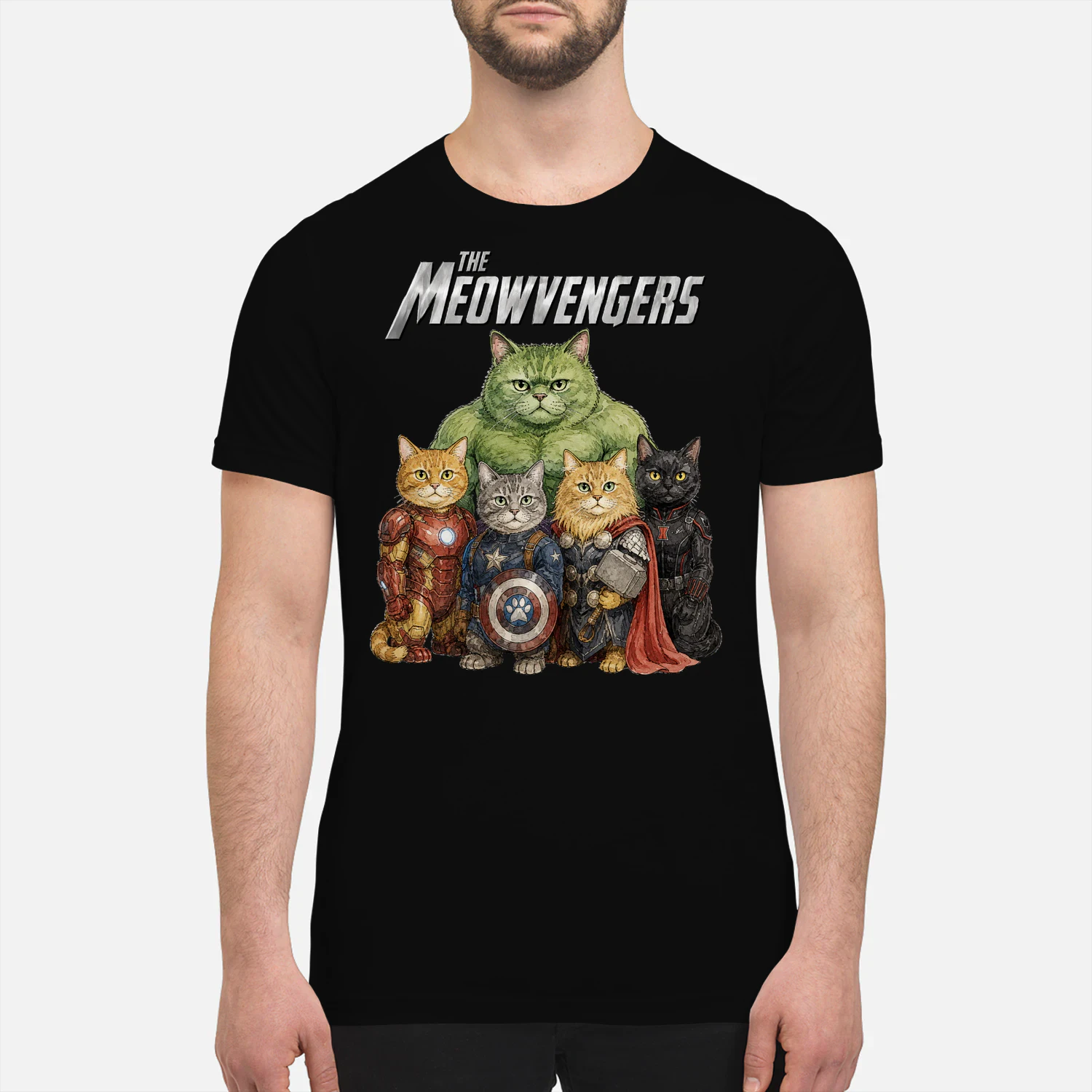 Cat Meowvengers