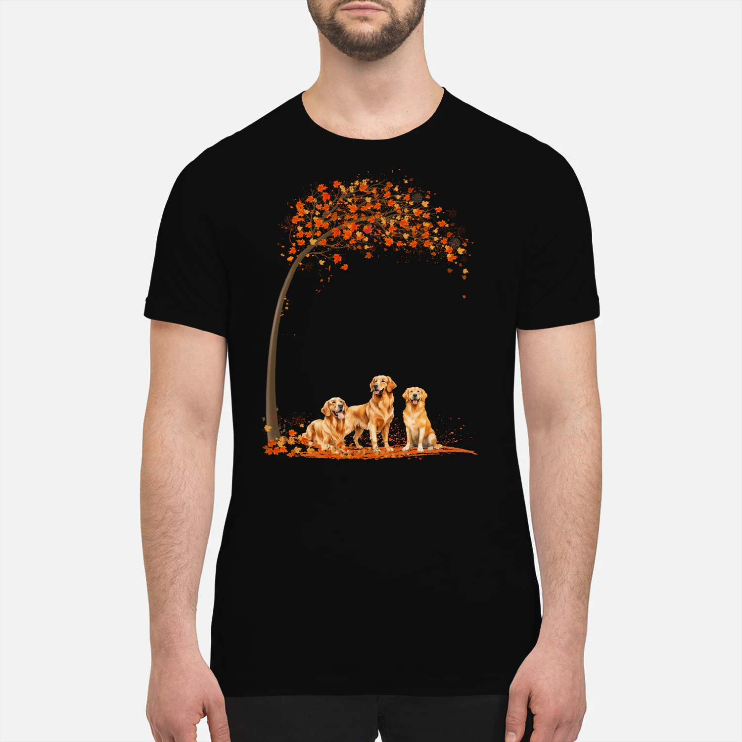 Golden Retriever Fall