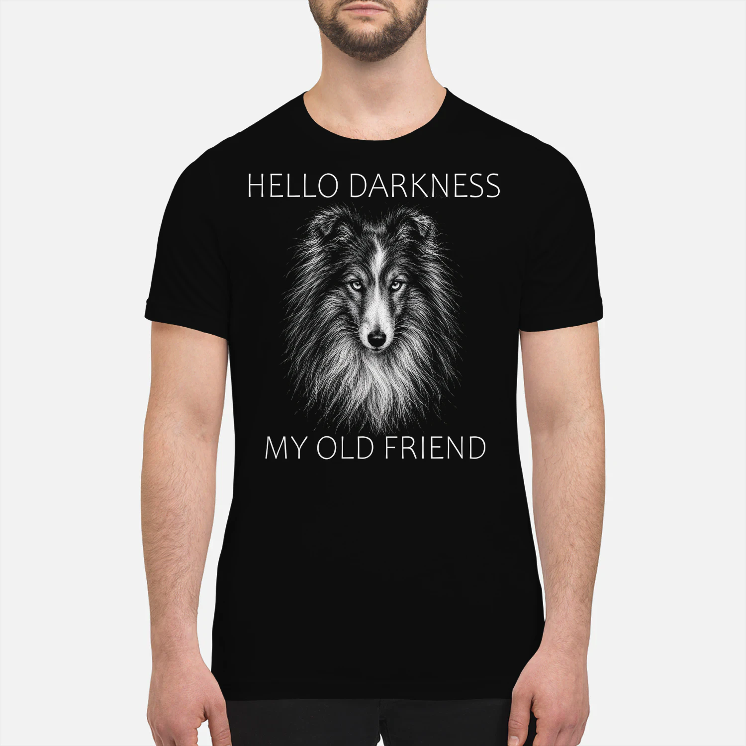 Shetland Sheepdog Darkness