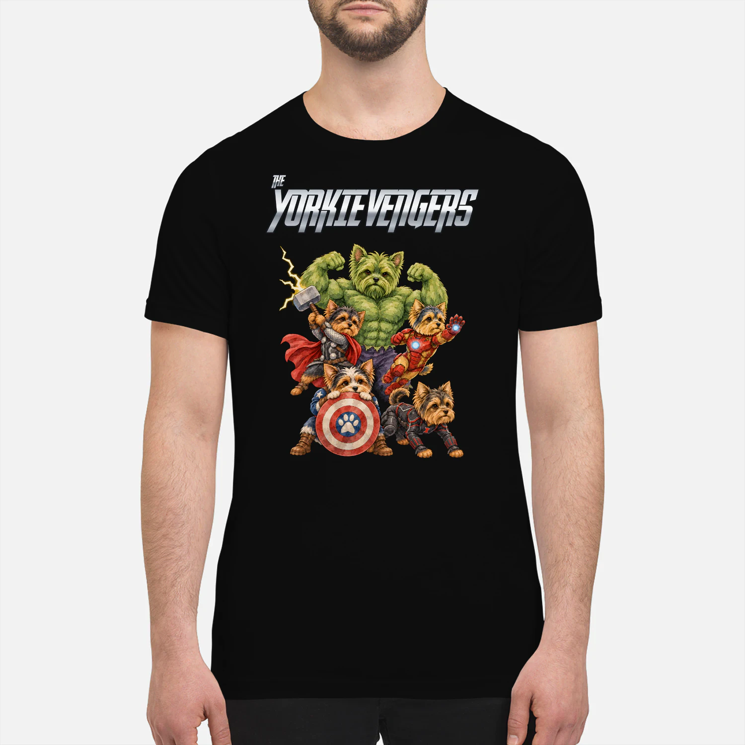 Yorkshire Avengers 2