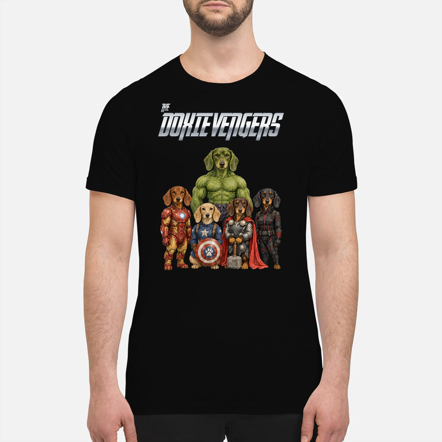 Dachshund Avengers