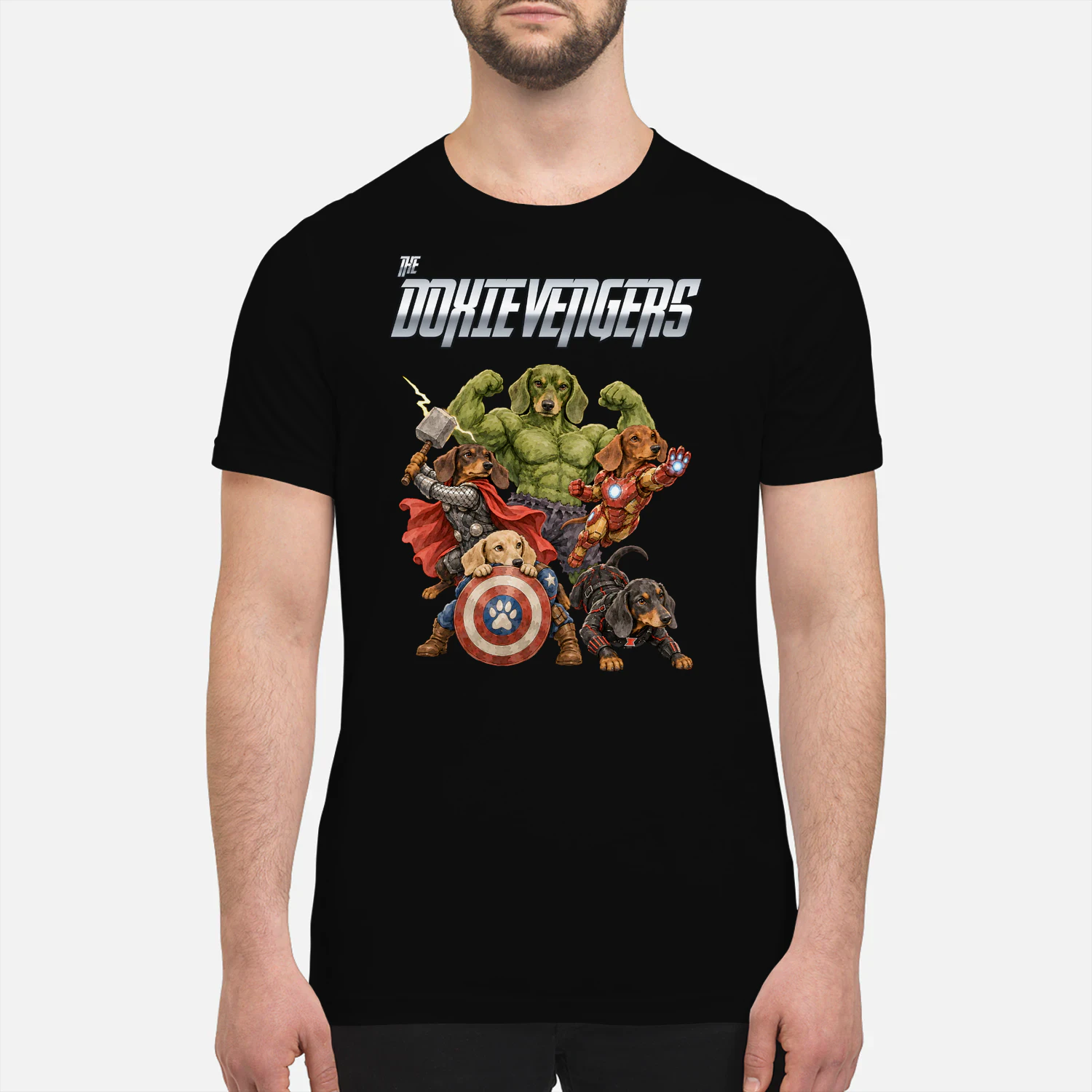 Dachshund Avengers 2