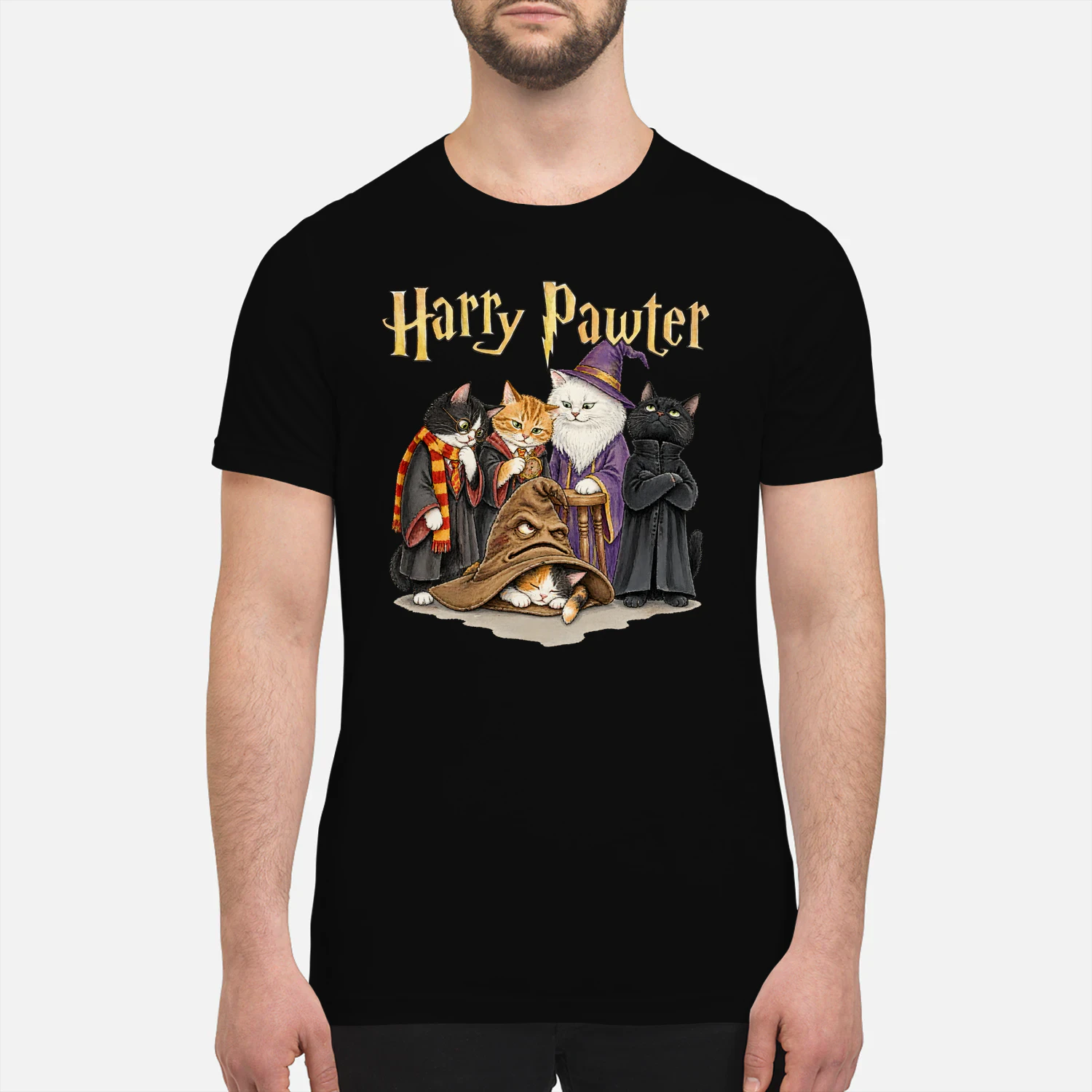 Cat Harry Pawter Sorting Hat