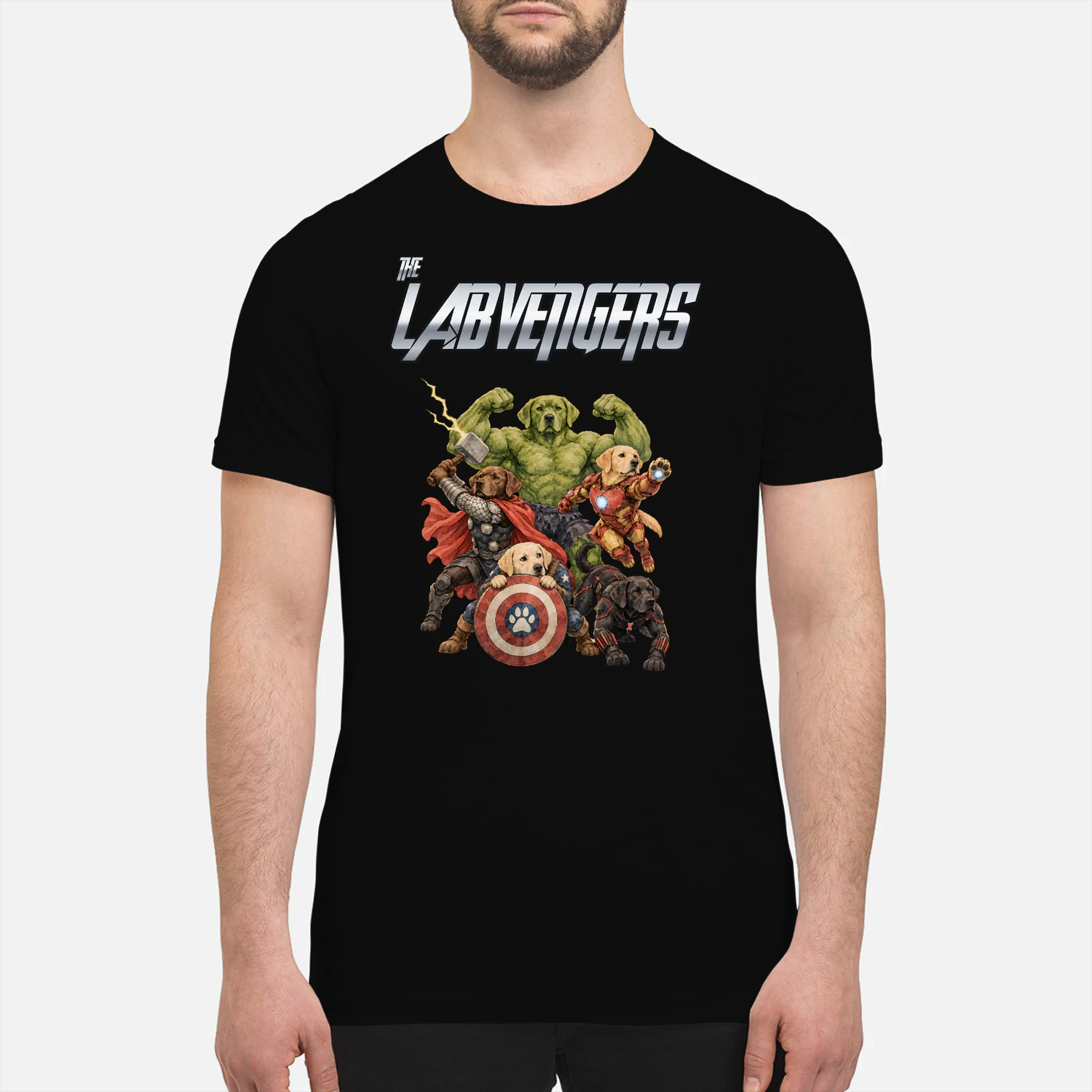 Labrador Retriever Avengers 2