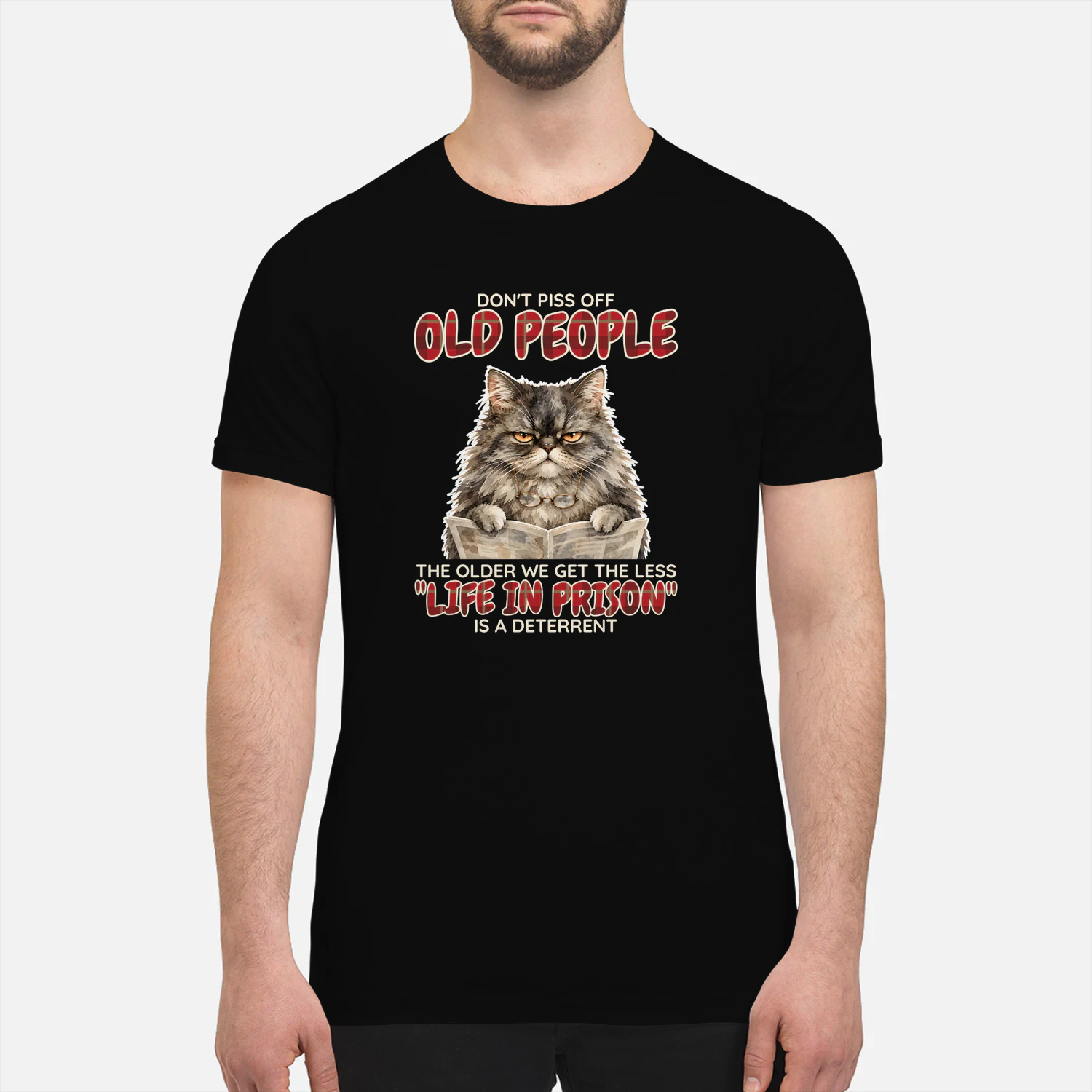 Cat Old People Persian