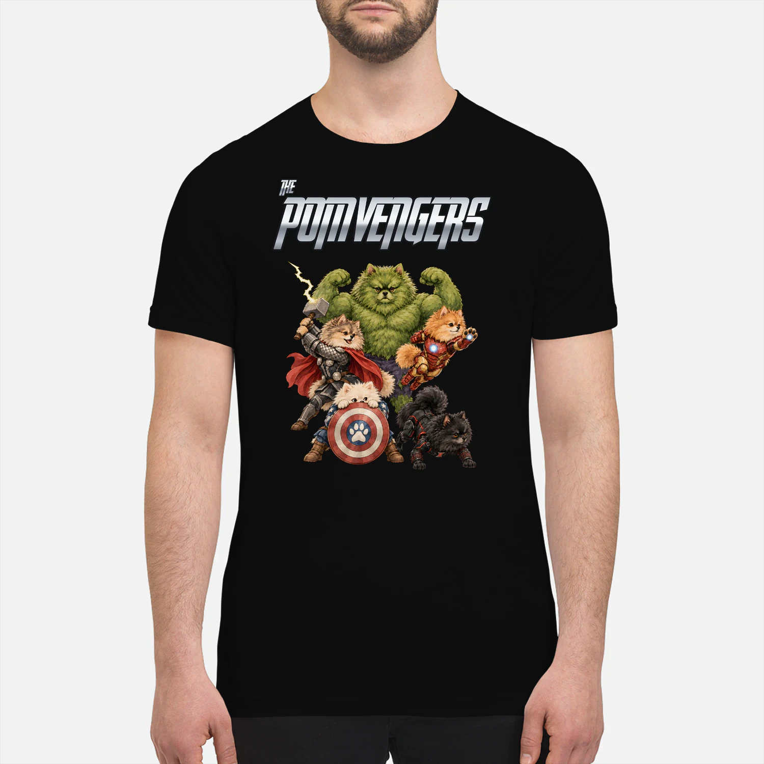 Pomeranian Avengers 2