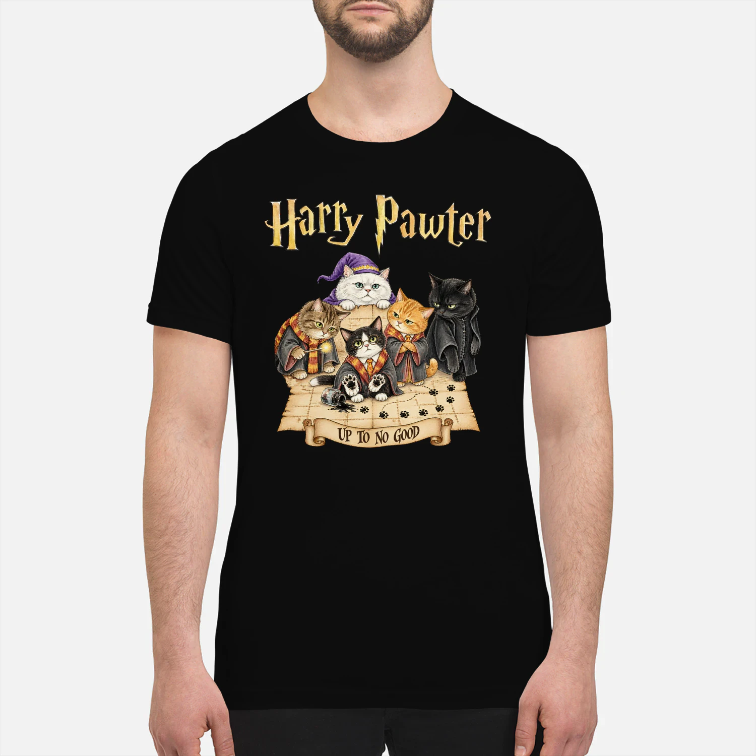 Cat Harry Pawter No Good