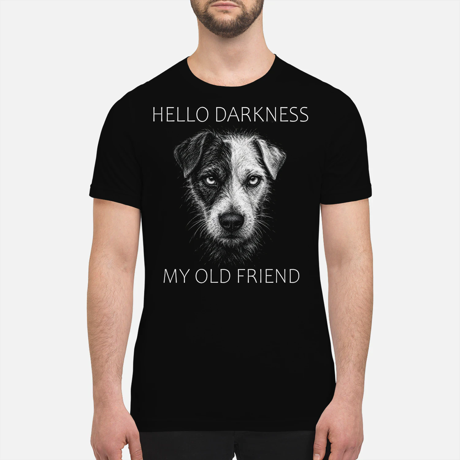 Jack Russell Terrier Darkness